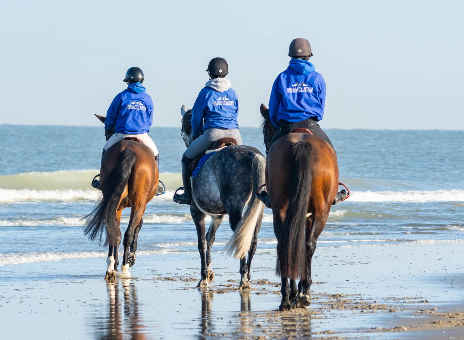 Op slechts 2 km van het strand.